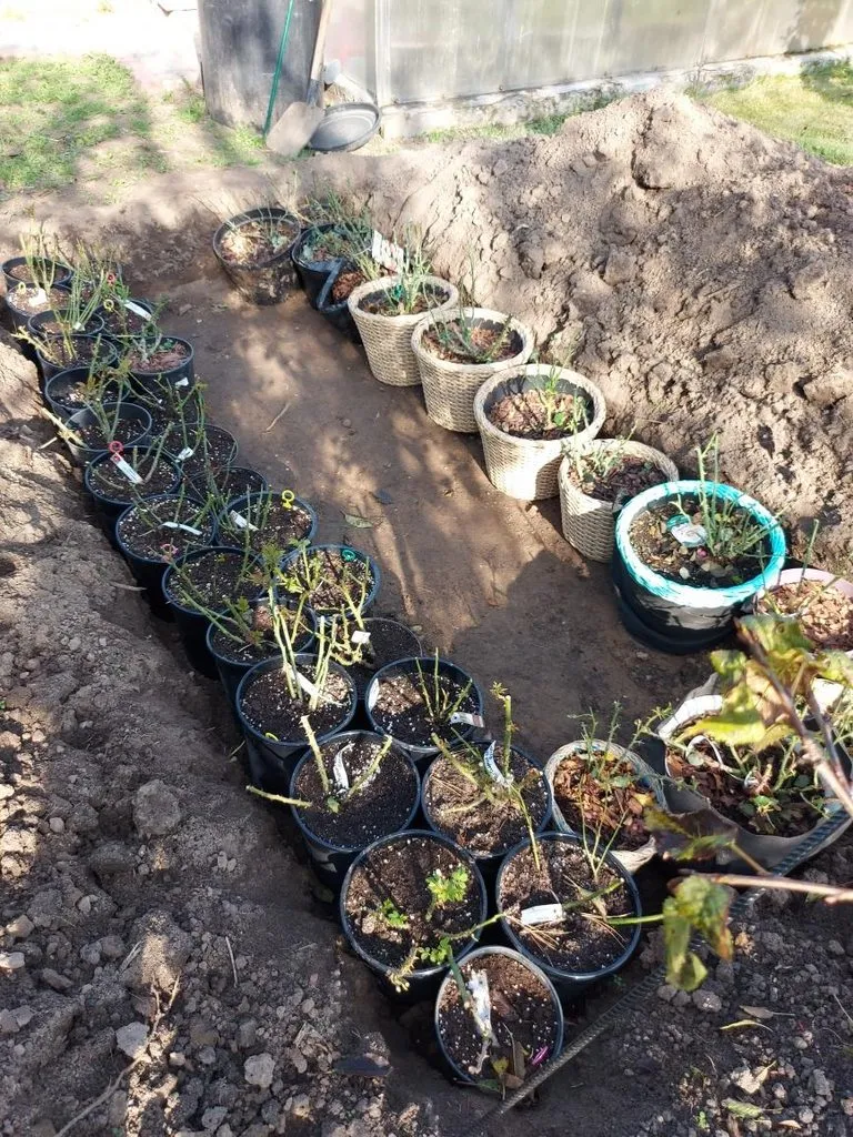 Загородная жизнь - обустройство жизни на своей земле во всем ее разнообразии