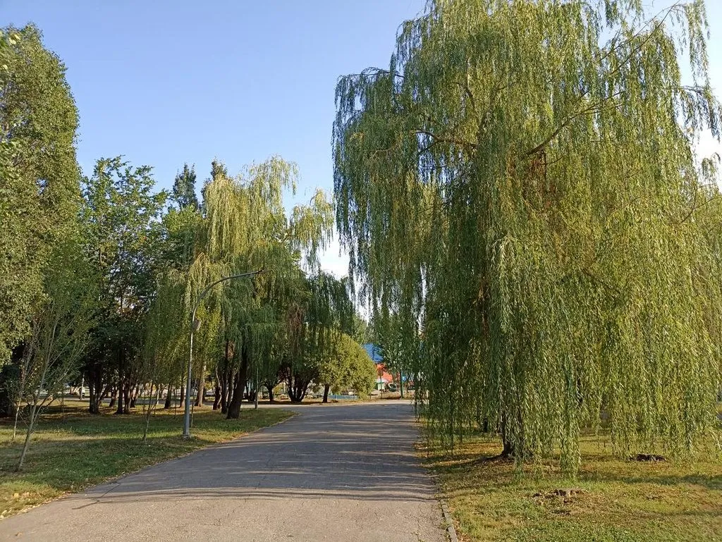       Ах, Самара - городок... 
