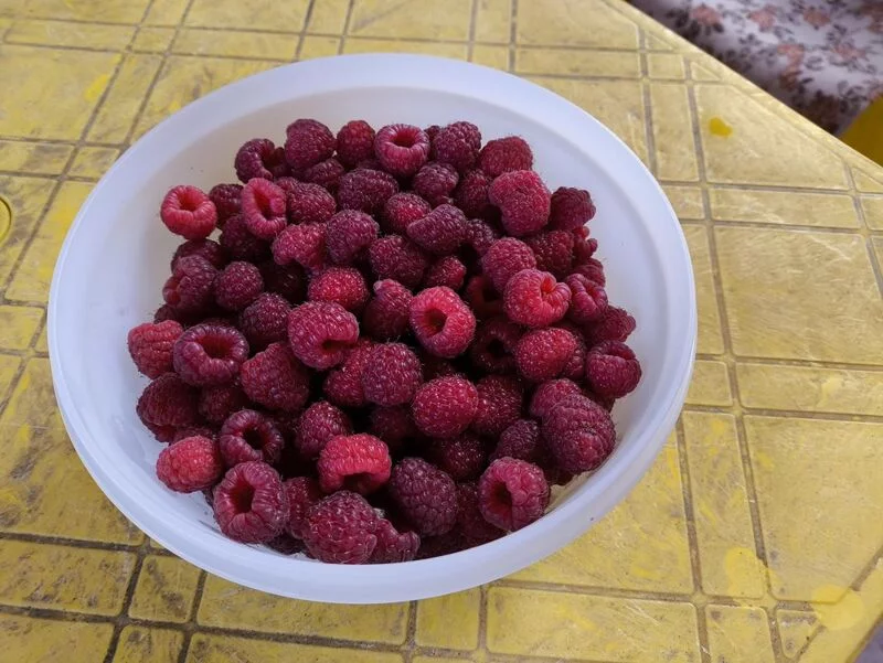 Чайная беседка