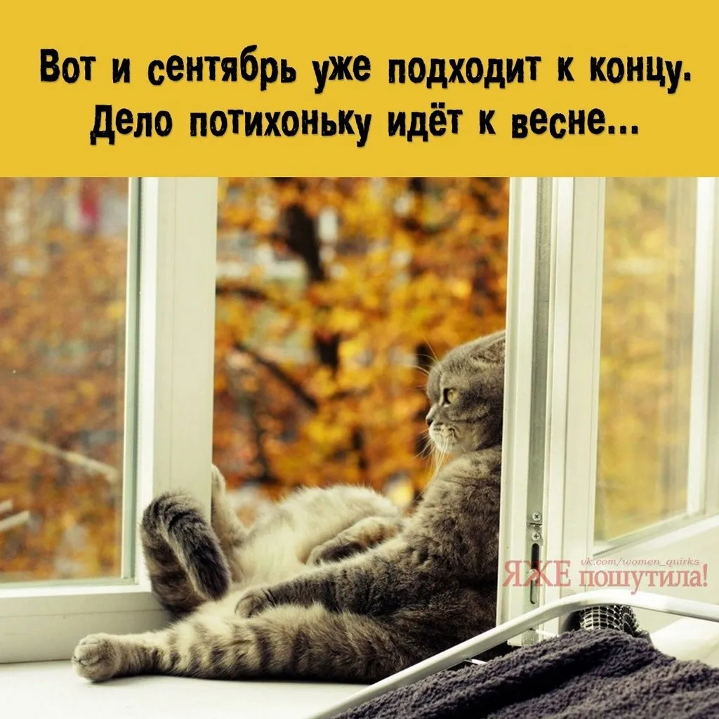 Кафе "У пани Сони"