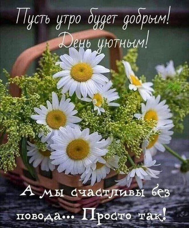 Кафе "У пани Сони"