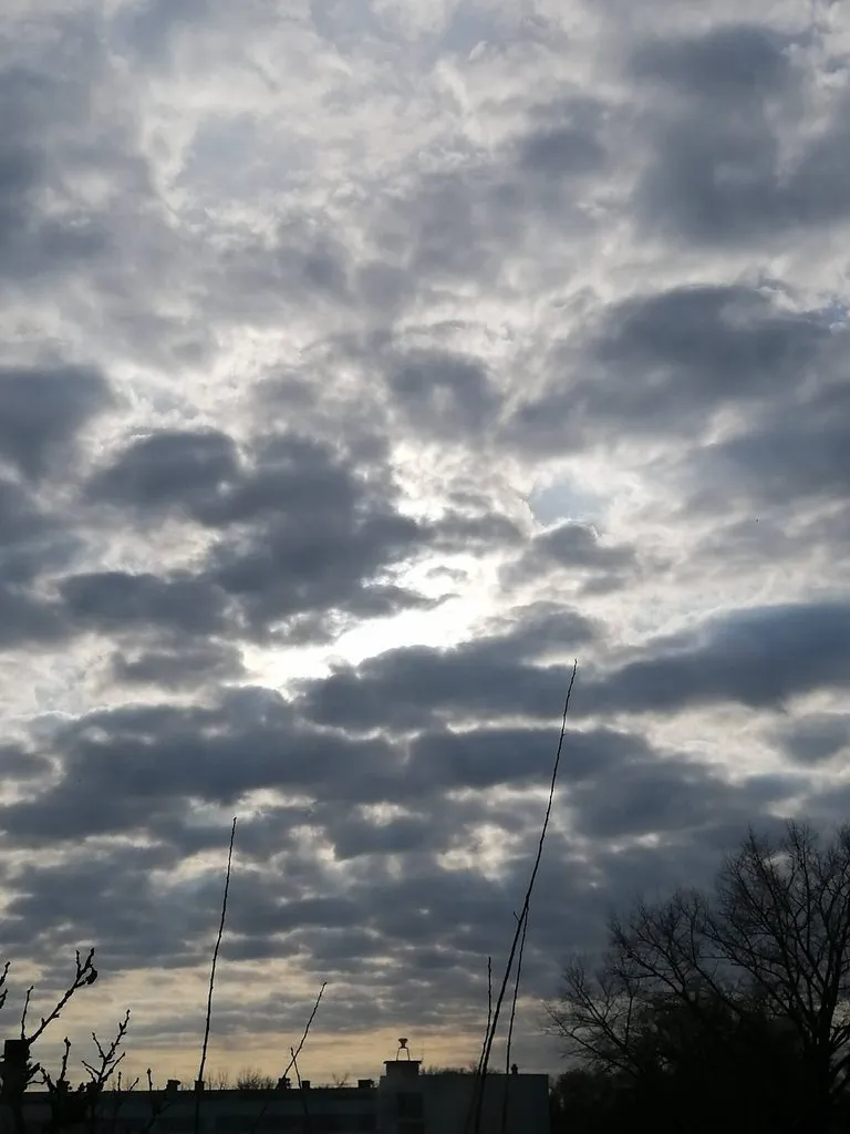 Такое разное небо