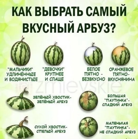Кулинарная инфографика