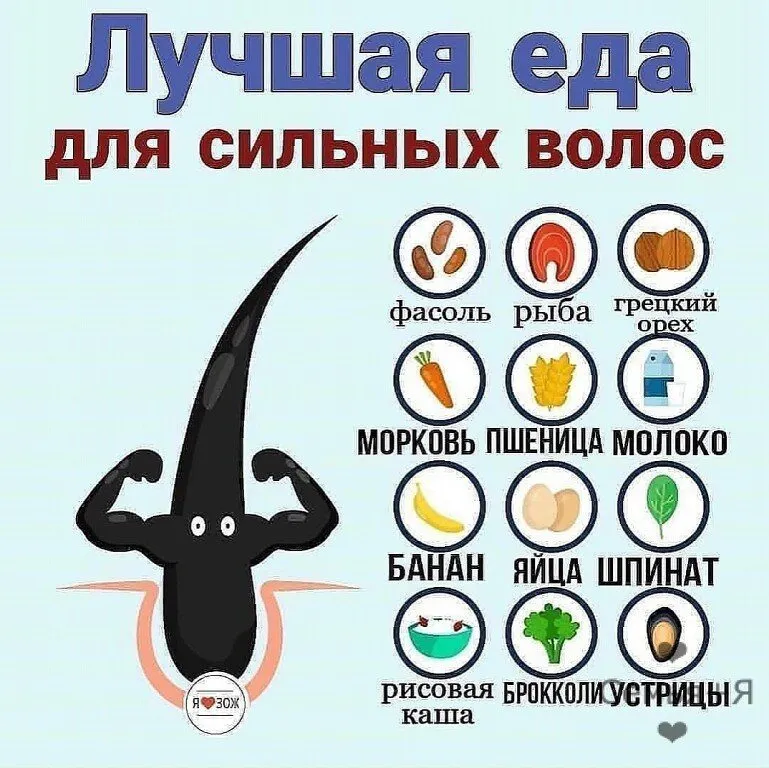 Медицинская инфографика