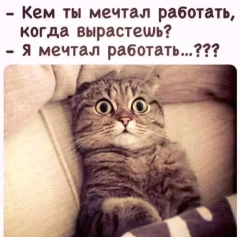 В гостях у Батьки