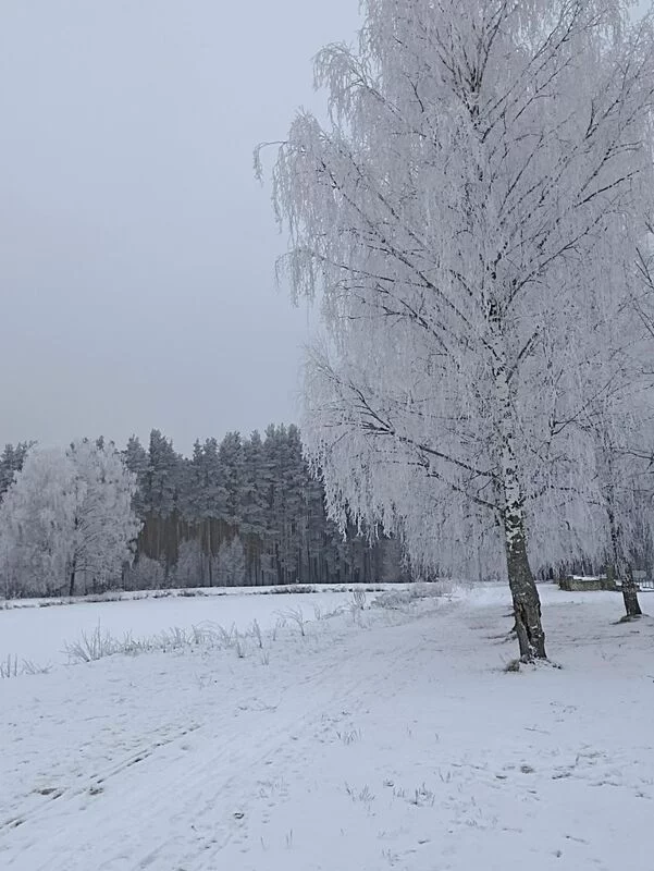 Фотонастроение