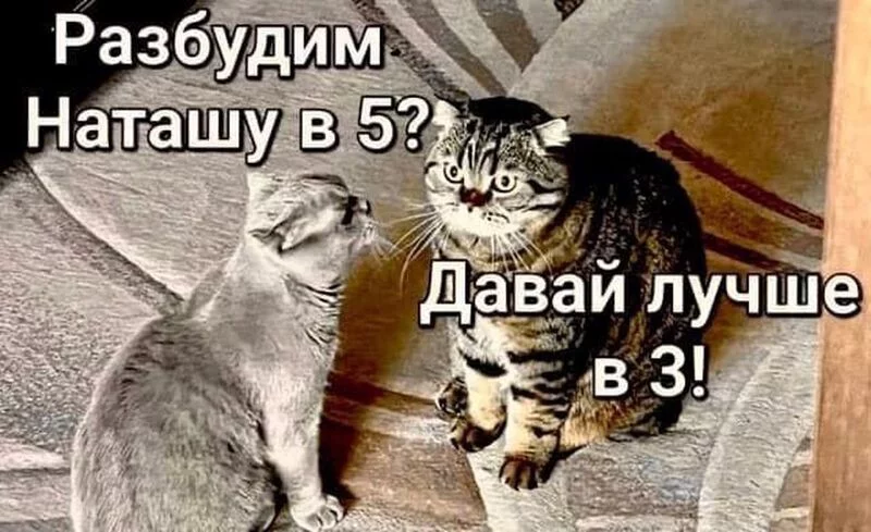 Посмеялся сам - поделись с другом!!!