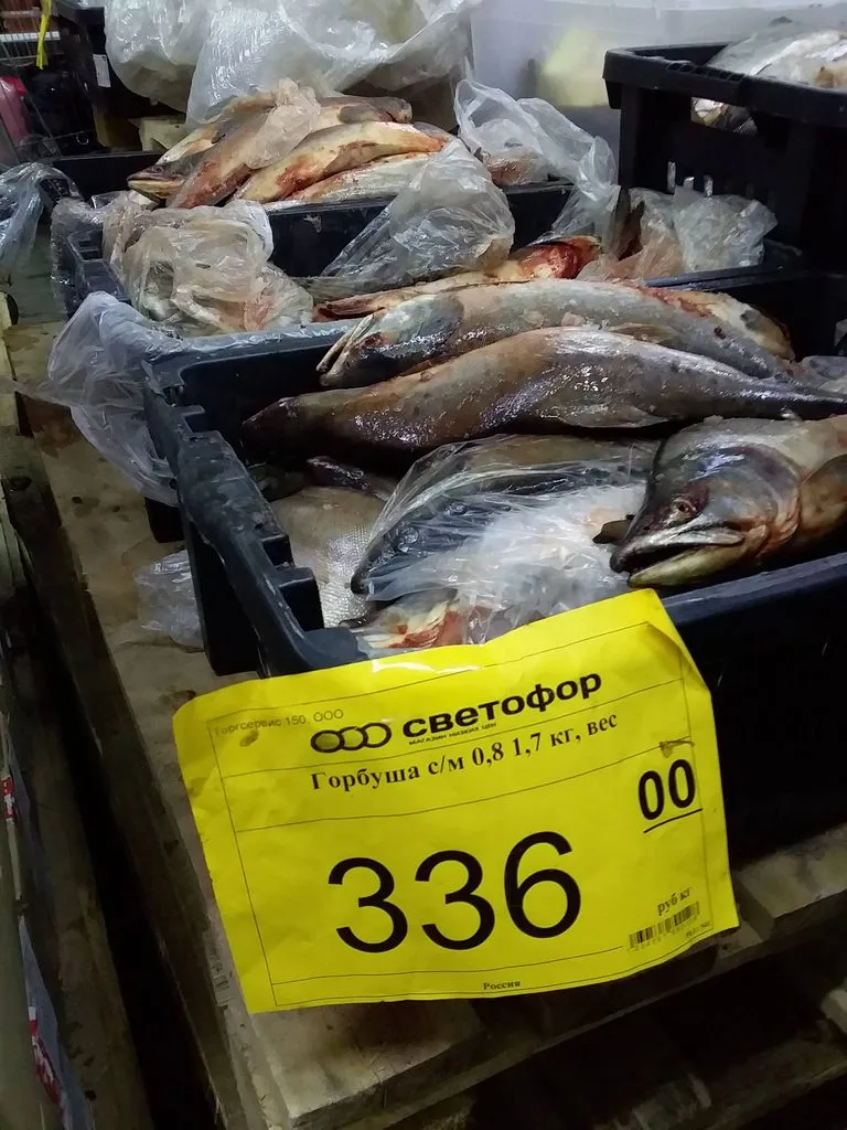 Где, что и когда купить в Москве