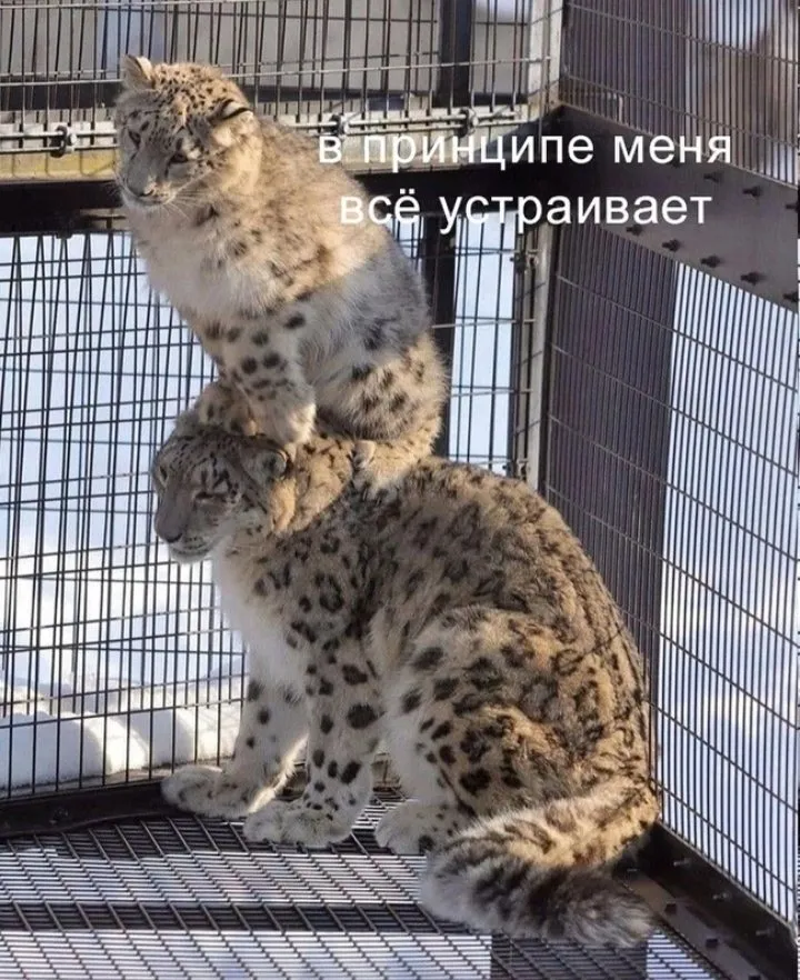 Посмеялся сам - поделись с другом!!!