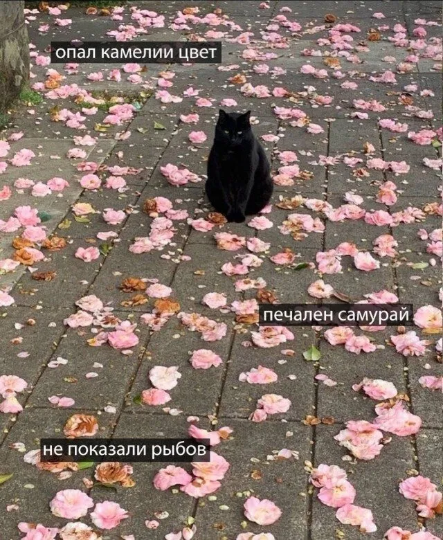 Посмеялся сам - поделись с другом!!!