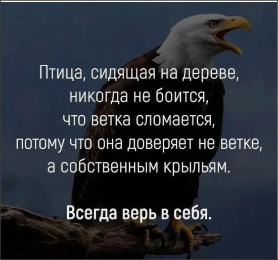 Лаконичная мудрость