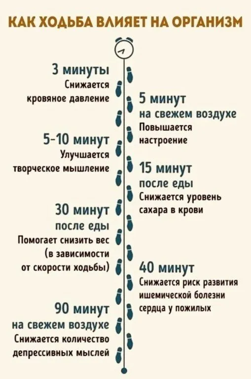 Медицинская инфографика