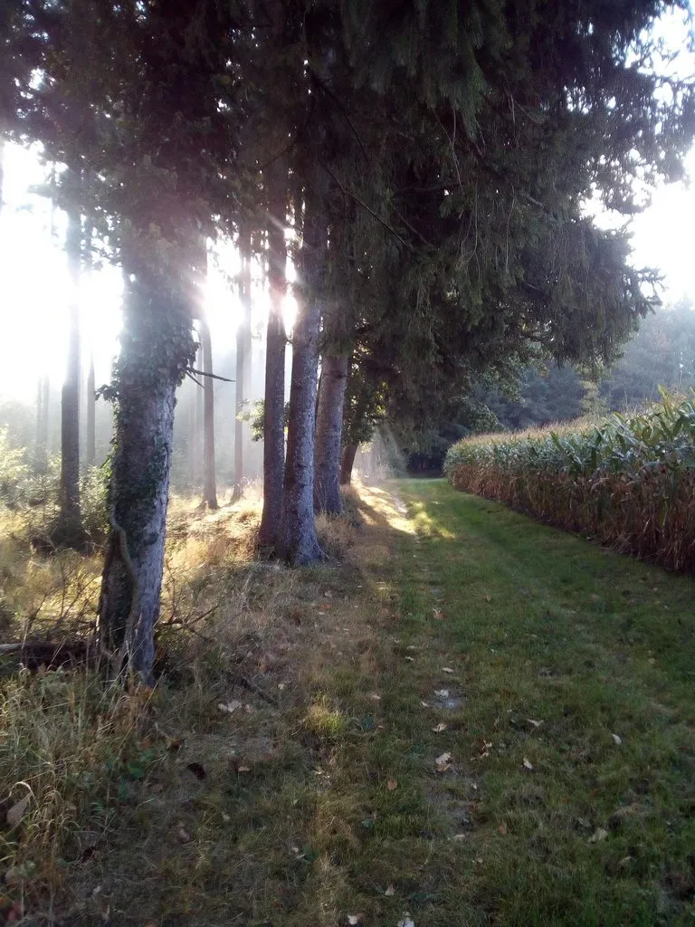 Tapтaлeтки & Ко