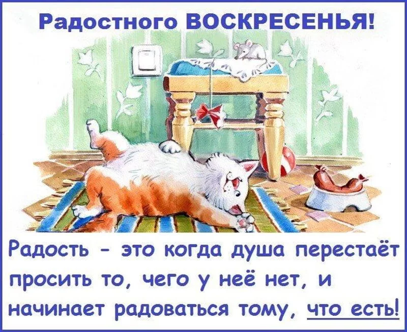 Позитивчик (фото, видео, рассказы для хорошего настроения)