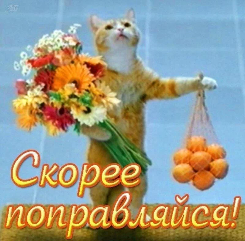 Кафе "У пани Сони"