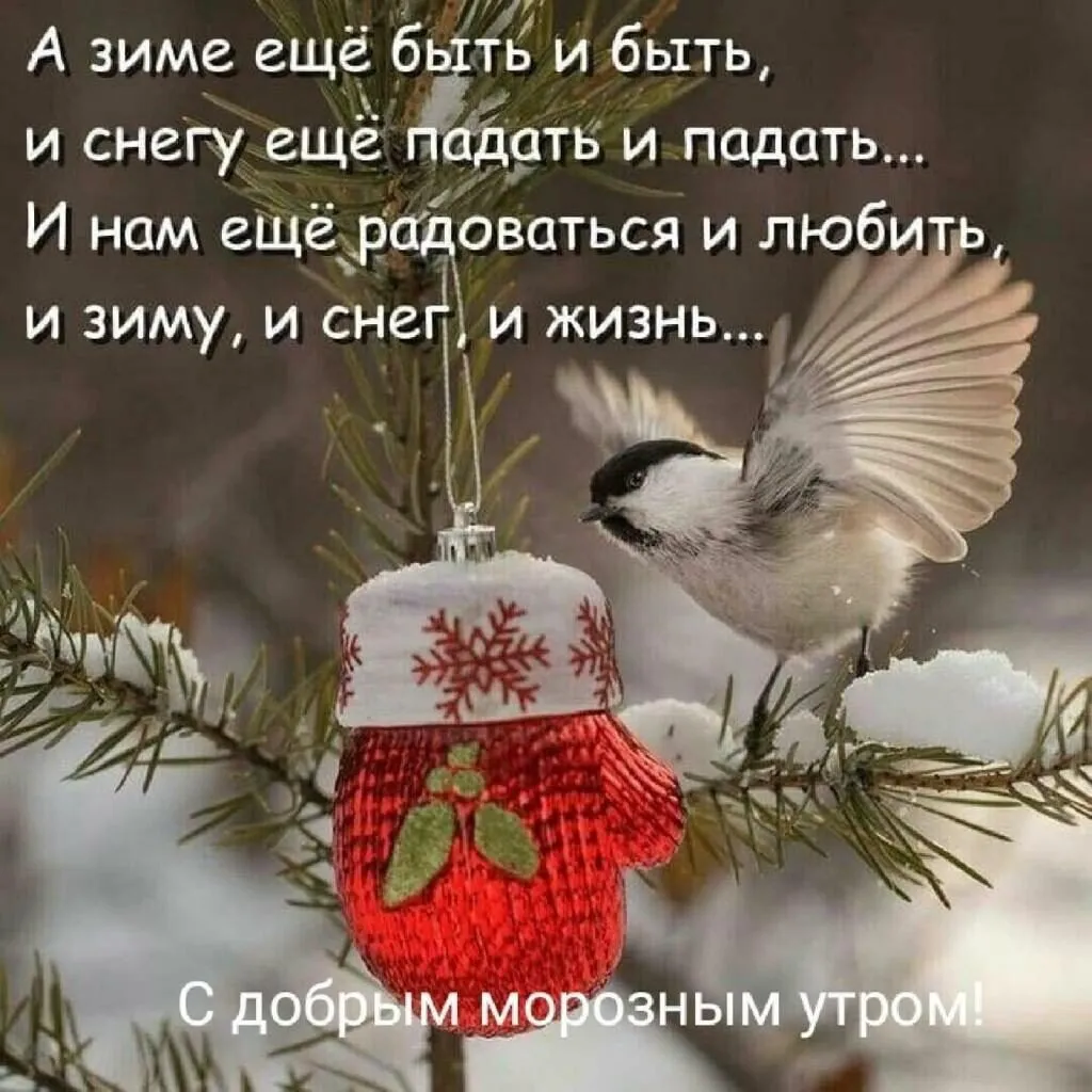 Tapтaлeтки & Ко