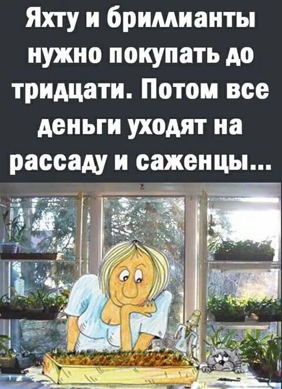 Загородная жизнь - обустройство на своей земле во всем ее разнообразии