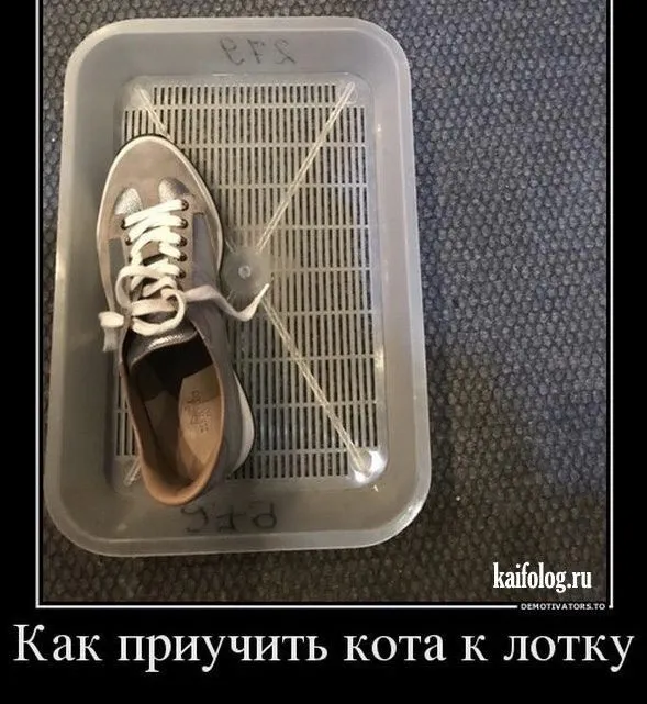 Посмеялся сам - поделись с другом!!!