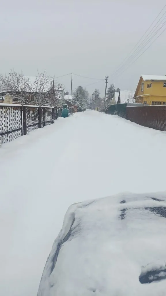 Чайная беседка