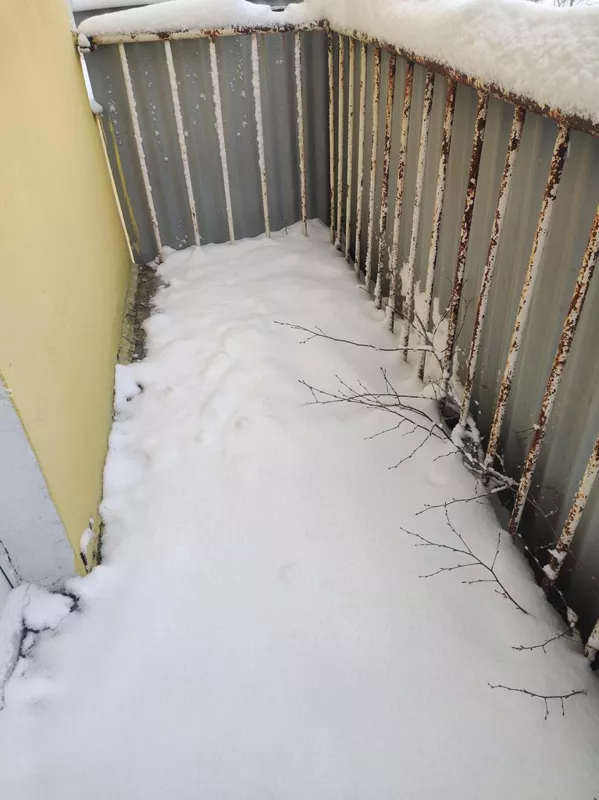 Чайная беседка