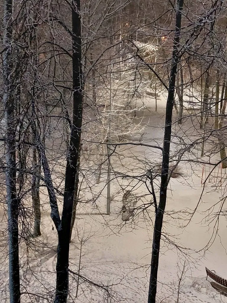 Кафе «У пани Сони»