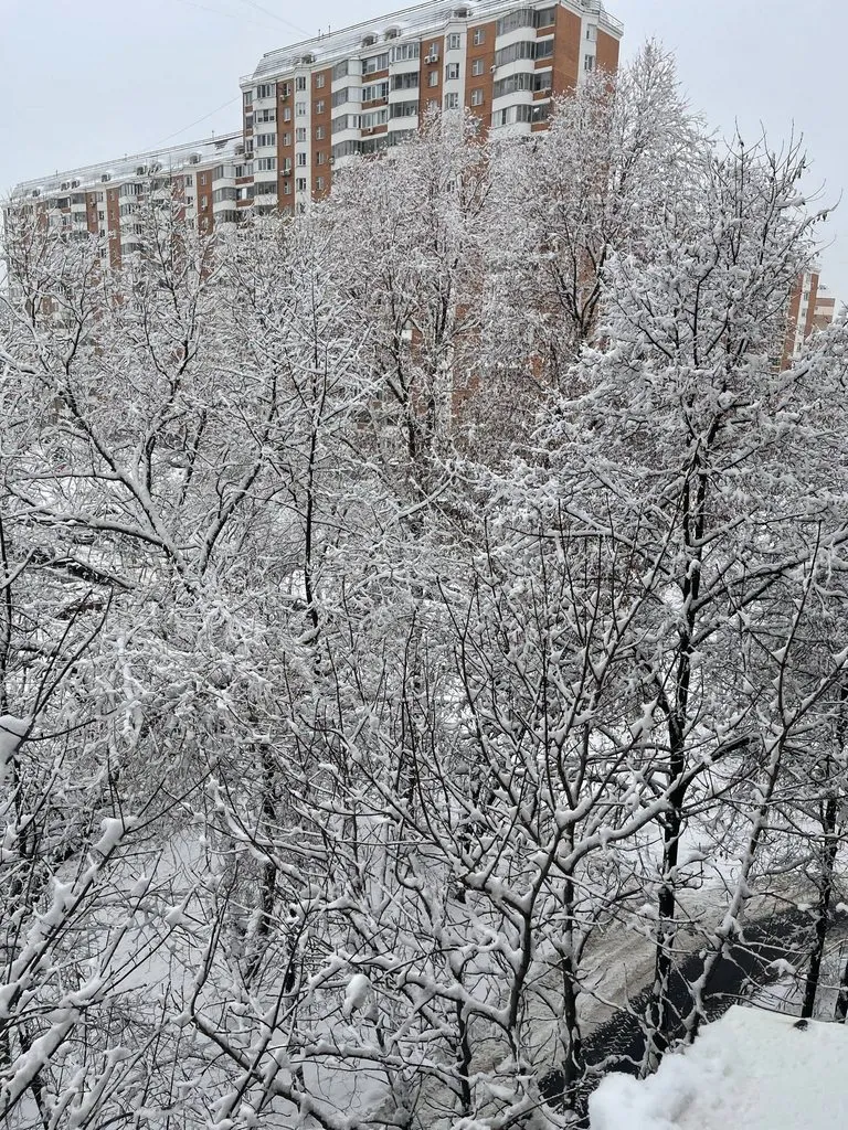 Tapтaлeтки & Ко