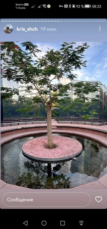 Чайная беседка