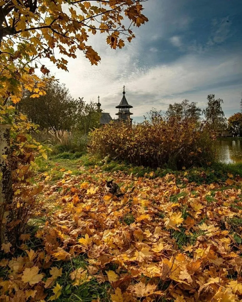 Арт галерея