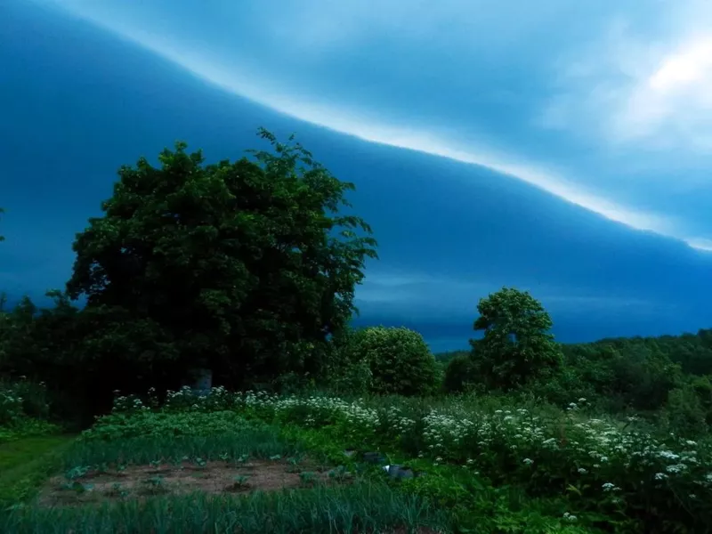 Такое разное небо