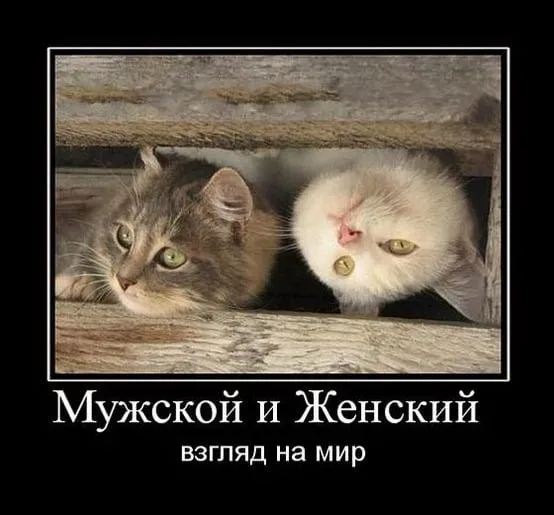 Посмеялся сам - поделись с другом!!!