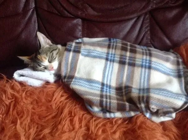 Посмеялся сам - поделись с другом!!!