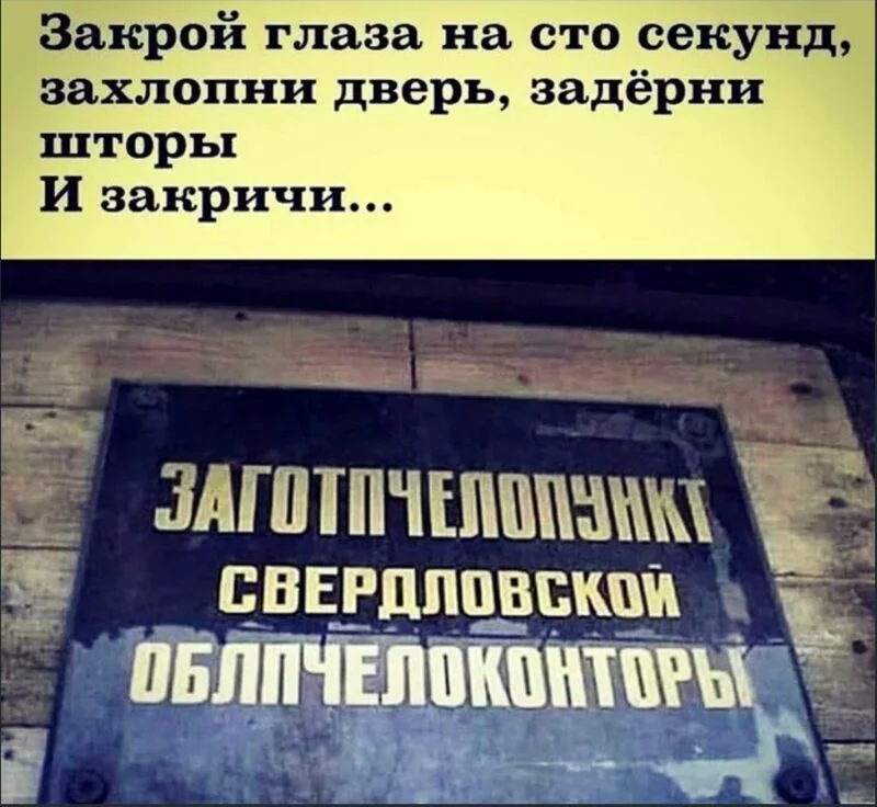 Всюду рифмы