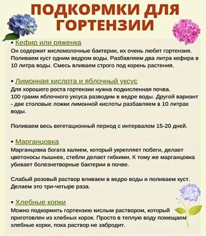 Садово-огородная  инфографика