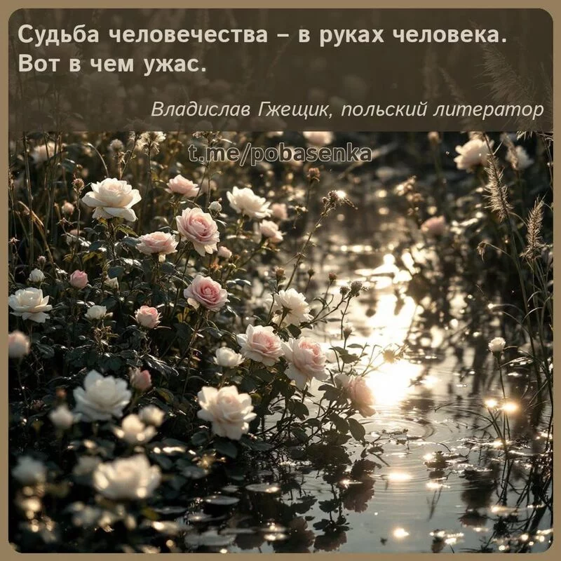 «Судьба человечества в руках человека. Вот в чем...» height="550" width="550"