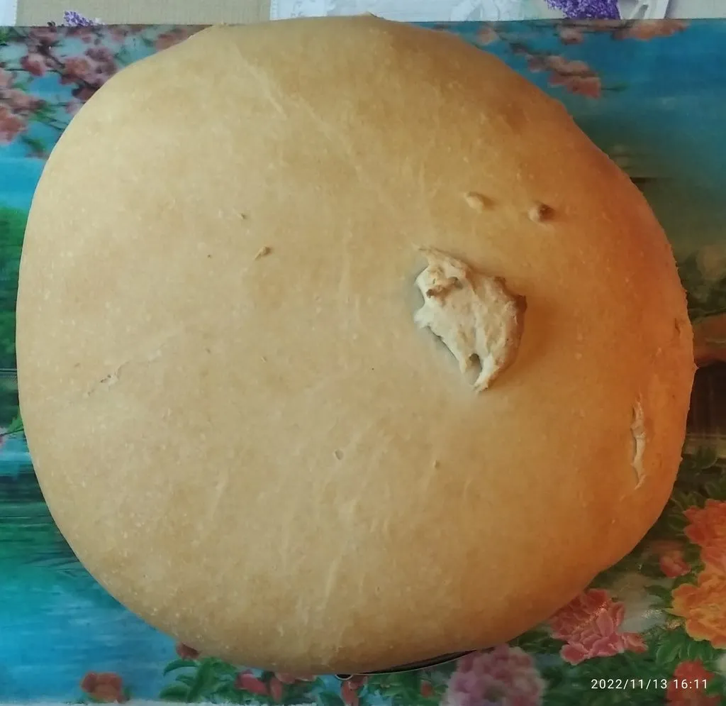 Tapтaлeтки & Ко
