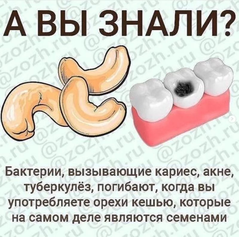 Медицинская инфографика