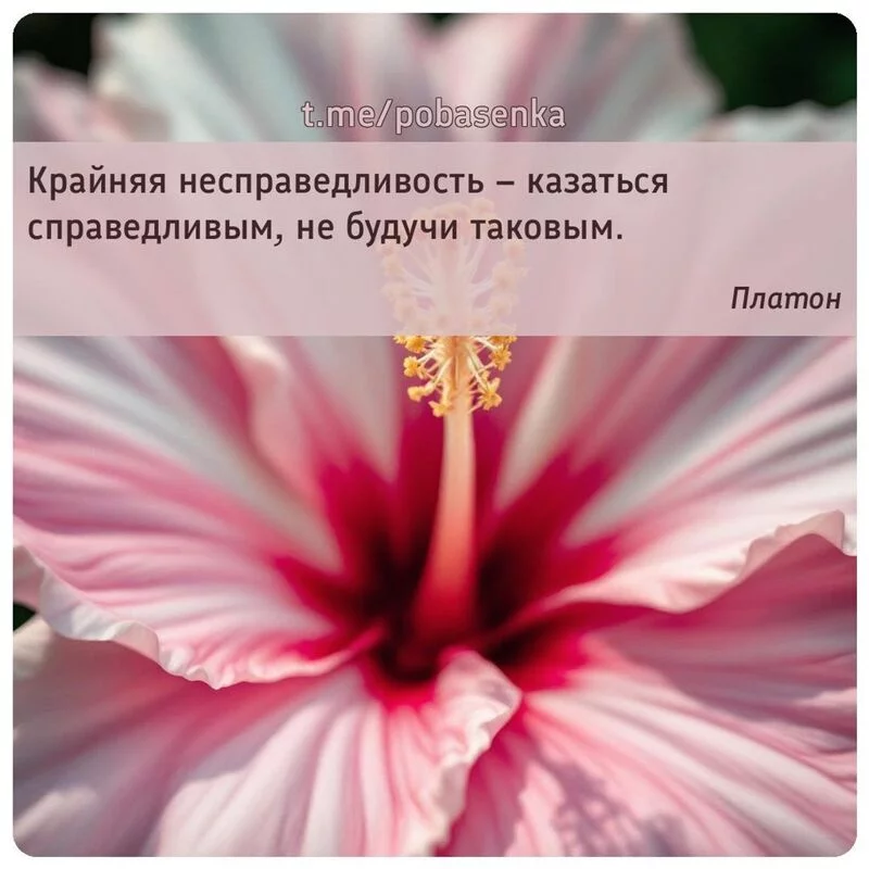 «Крайняя несправедливость казаться справедливым, не будучи...» height="550" width="550"