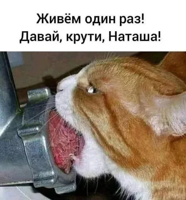 Позитивчик (фото, видео, рассказы для хорошего настроения)