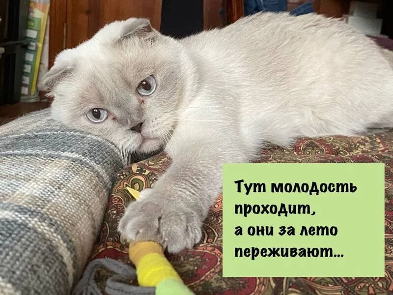 Посмеялся сам - поделись с другом!!!