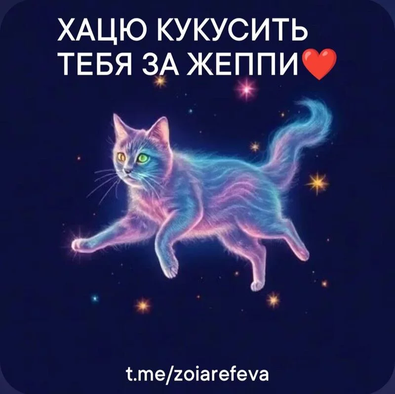 Кошичкина полиция