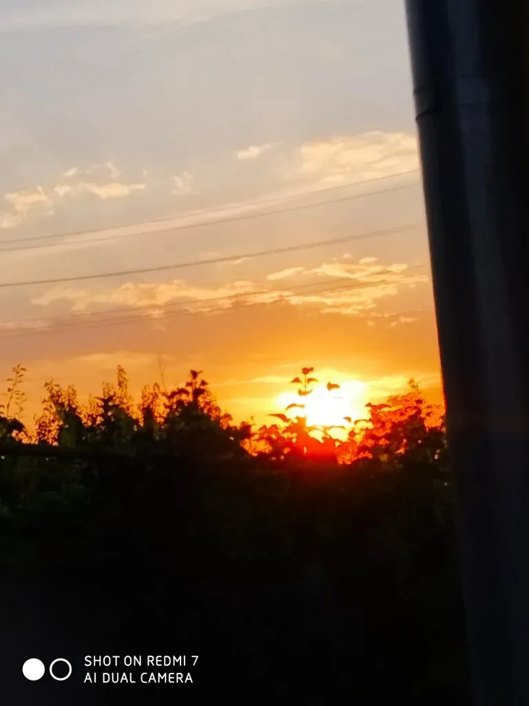 Чайная беседка