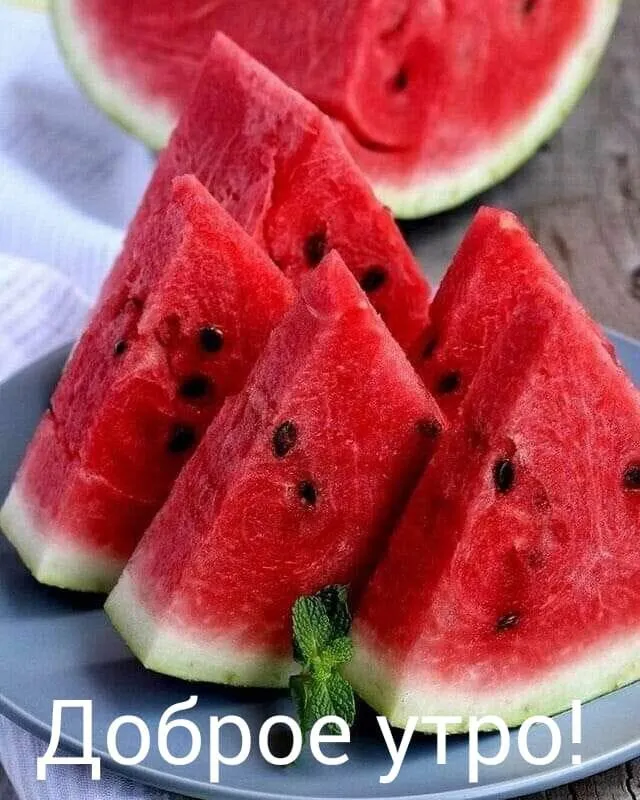 Tapтaлeтки & Ко