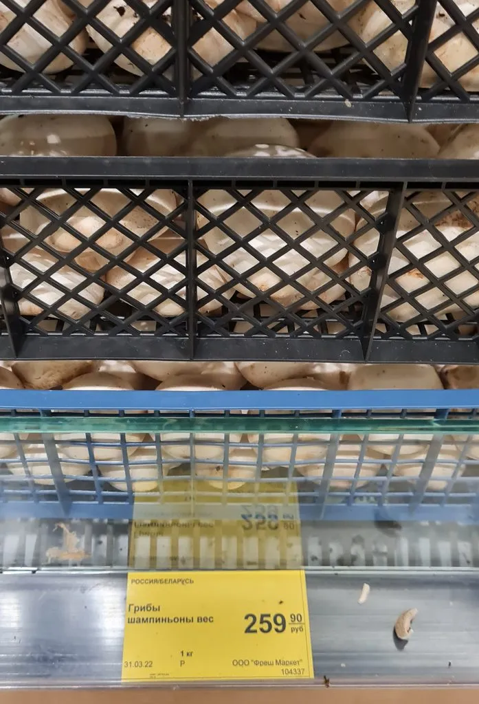 Где, что и когда купить в Москве