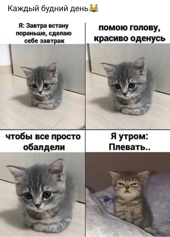 Посмеялся сам - поделись с другом!!!