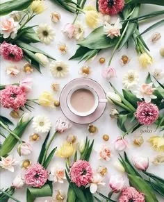 Чайная беседка