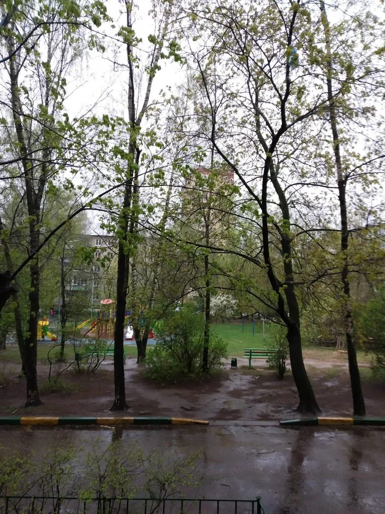 Чайная беседка