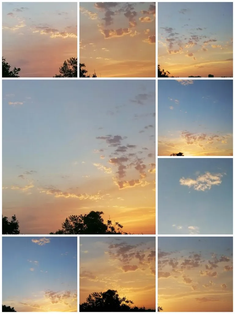 Чайная беседка