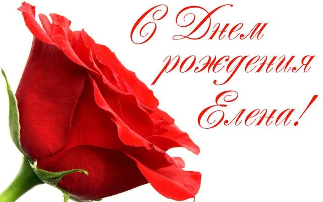 Tapтaлeтки & Ко