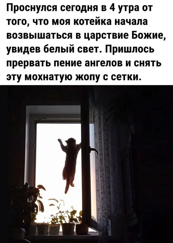 Посмеялся сам - поделись с другом!!!