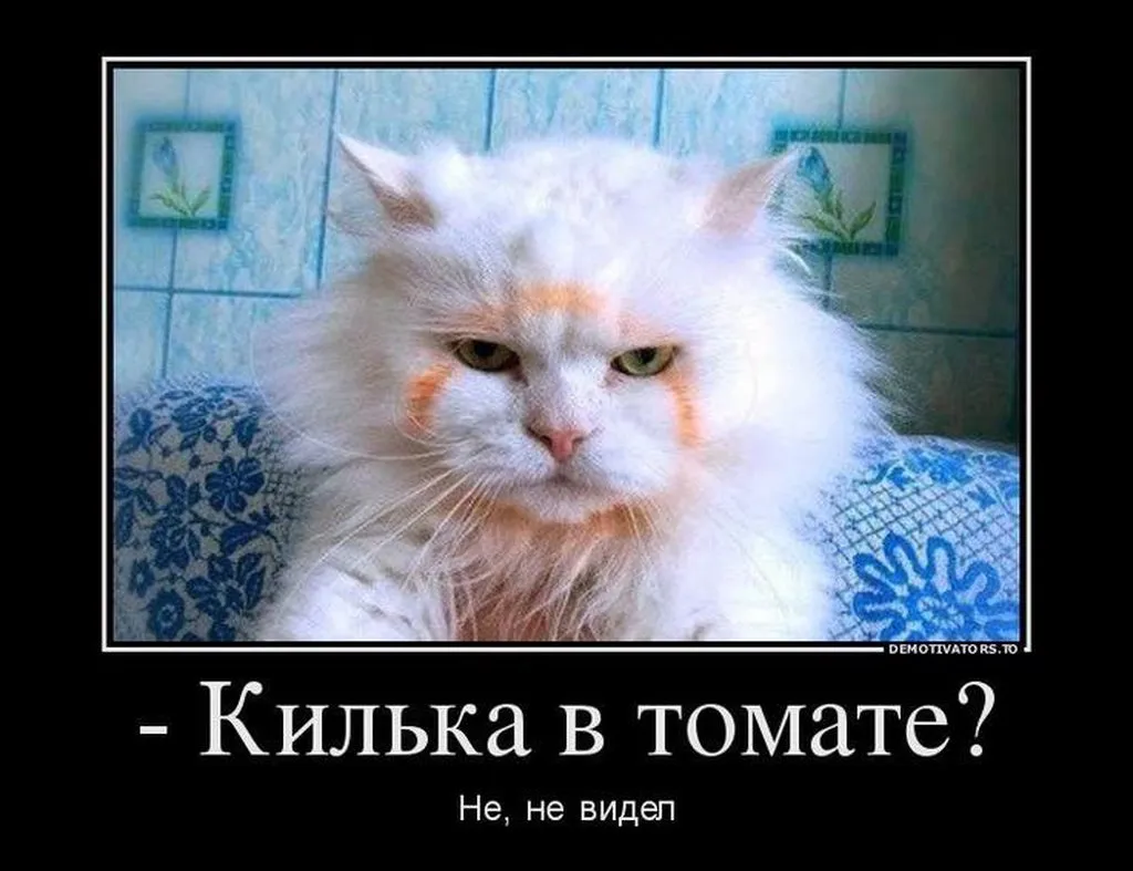 Посмеялся сам - поделись с другом!!!